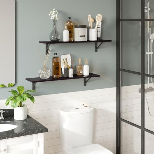 DINZI LVJ Wall Shelves, 23.6" Long Floating Shelves with Metal Brackets