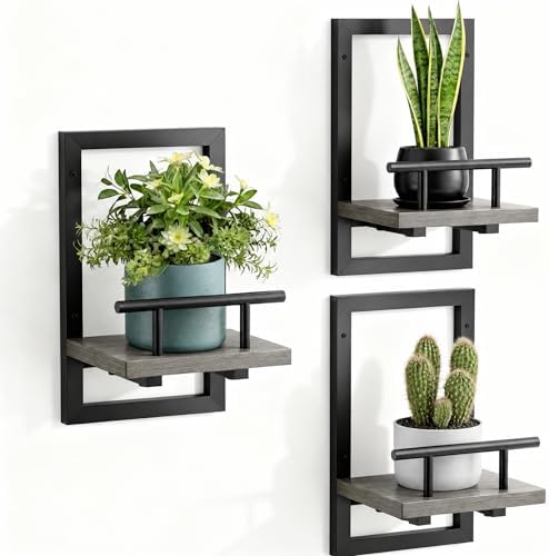 Sbosbo Floating Shelves for Wall Plant Shelf Indoor Wall Mounted Shelves