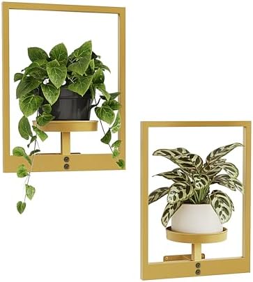 Bamworld Wall Plant Holder Plant Stand Indoor Wall Planters Gold