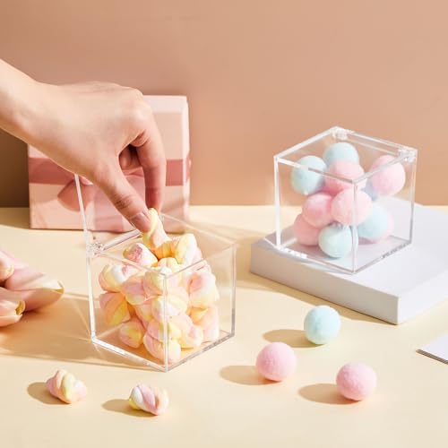 Blulu 8 Pcs Clear Acrylic Box with Lid, 3.15 x 3.15 x 3.15 Inch, Flip Style