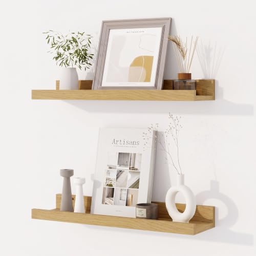 Dreamland Picture Ledge Shelf for Wall, Floating Shelves Set of 2,18 inch Long Floating Shelves with Lip for Living Room