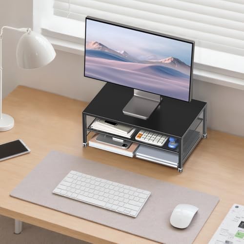 ECOLOVI 2-Tier Computer Monitor Stand Riser, Printer & Laptop Stand, Office Desk Accessories, Workspace Desk Organizer f