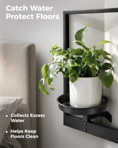 Bamworld Picture Frame Wall Planters Set of 2 Corner Wall Plant Holder