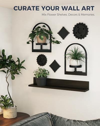 Bamworld Wall Plant Holder Plant Stand Indoor Wall Planters Round