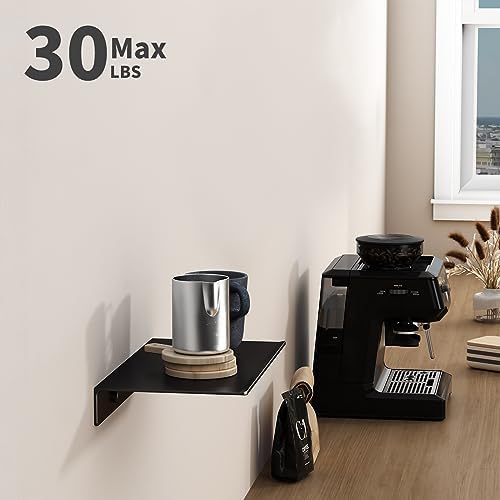 Danpoo 8 inch Small Floating Shelf for Wall Organizer & Storage, Mini Display Shelf, Metal Wall Shelf for Bathroom, Livi