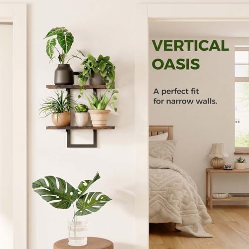 Bamworld Floating Shelves for Wall Planters Indoor Hanging Plant Shelves