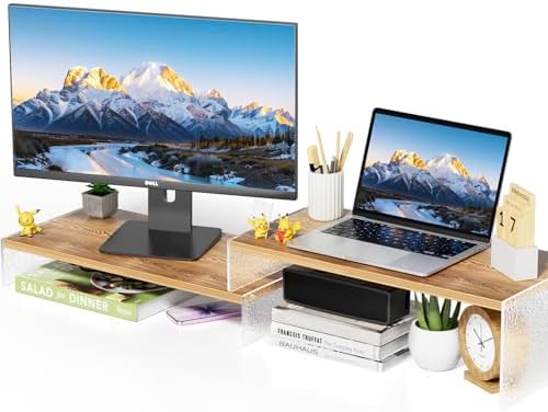 YGYQZ Adjustable Monitor Stand Riser, 9.4" ×19.3" Dual Monitor Desk Stand