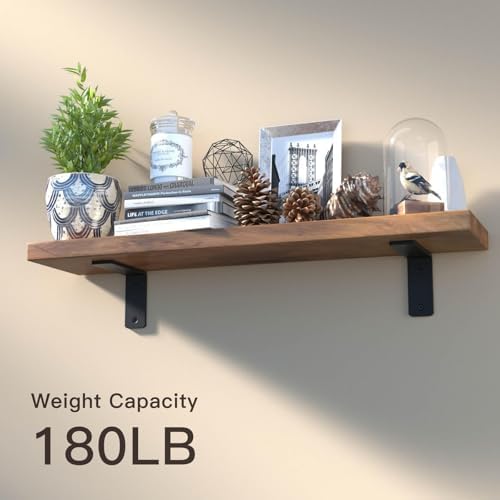 4 Pack 4 Inch Floating L Shelf Brackets for DIY,1/5 Inch Thick Heavy Duty Metal Shelf Bracket for Wall,Premium Black Pow