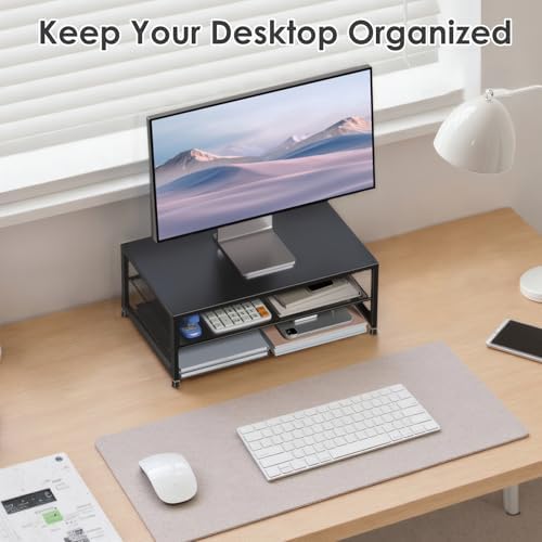 ECOLOVI 2-Tier Computer Monitor Stand Riser, Printer & Laptop Stand, Office Desk Accessories, Workspace Desk Organizer f