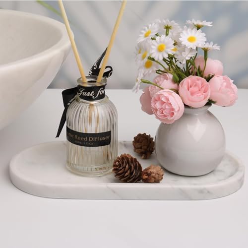 White Marble Vanity Tray for Bathroom Counter, 10"x5" Decorative Tray for Perfume, Candles, Stone Jewelry Dish Tray (Whi