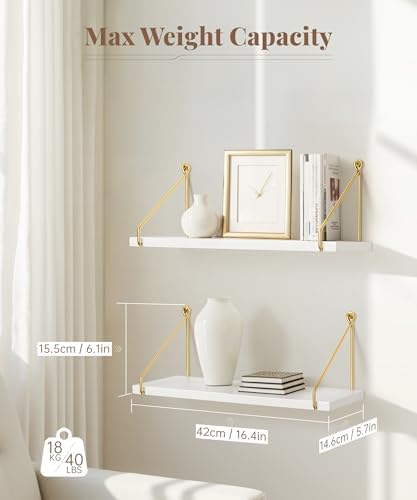 Afuly Floating Shelves for Wall, White and Gold Shelf, Display Wall Shelves
