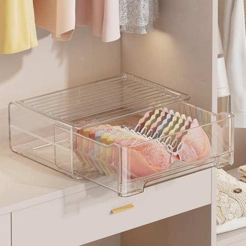 Underwear Drawer Organizer, Plastic Bra Storage Organizer for Closet, Bra Shelf Organizer, Clear Plastic Bra Drawers Sta