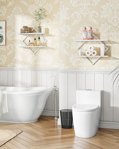 CHOEZON Floating Shelves, Set of 2 Wall Shelves, 2-Tier Hanging Shelves, Wall Shelf Set of 2, for Living Room, Bedroom, 