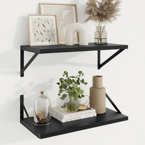 Axeman 20 Inch Floating Shelves, 10 Inch Deep Black Wall Shelves Set of 2