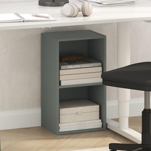 Furinno PASIR Book Shelf, 2-Tier Modern Bookshelf, Open Shelves Bookcase 9 x 12 x 21, Easy Assembly, for Living Room, Be