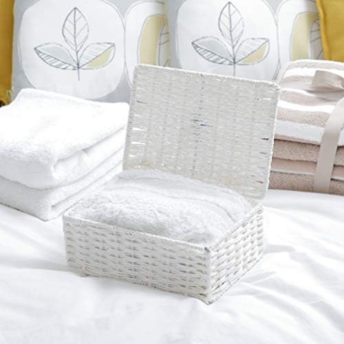 ARPAN Paper Rope Storage Basket Box with Lid-White, Small