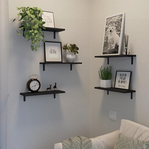DOLLFIO Floating Wall Shelves, Decor & Storage, Black, 16.5'', 5Pcs