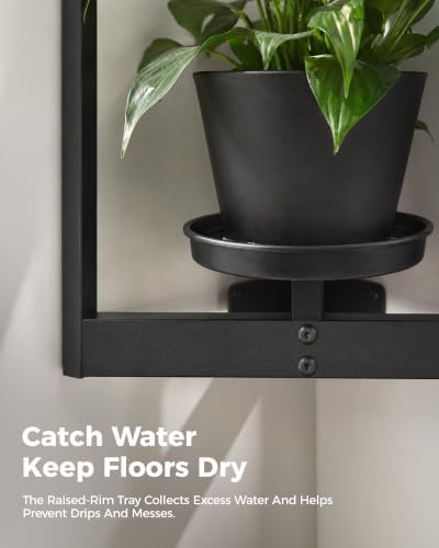 Bamworld Picture Frame Wall Planters Set of 2 Corner Wall Plant Holder