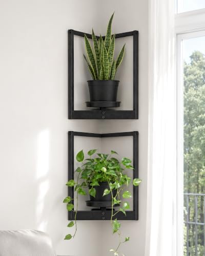 Bamworld Picture Frame Wall Planters Set of 2 Corner Wall Plant Holder