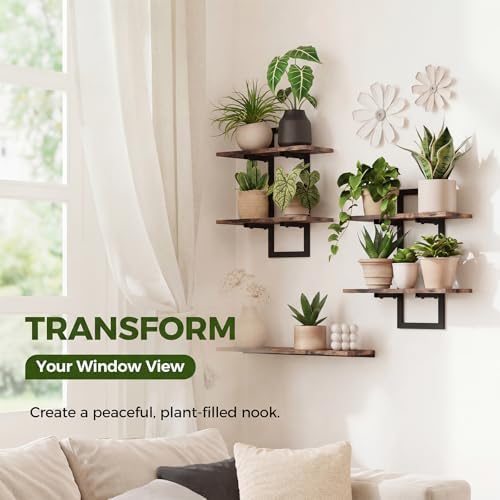 Bamworld Floating Shelves for Wall Planters Indoor Wall Decor, 2 Pack Brown