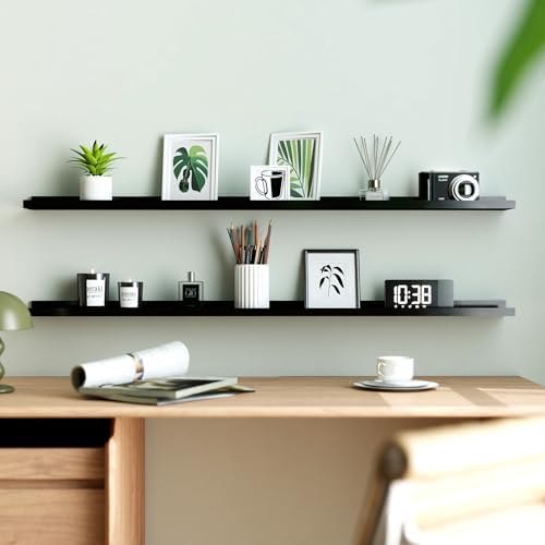Black Floating Shelves for Wall Decor, 48 in Shelf with Lip Set of 2