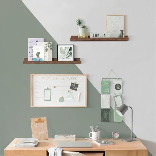 Walnut Brown 24 in Floating Shelves with Lip, Picture Ledge Shelf for Wall