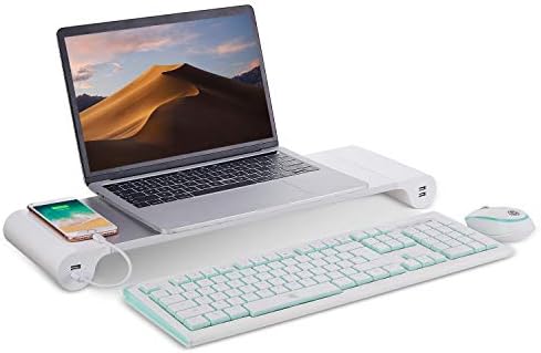 PG Silver Monitor Stand Riser with 4-Port USB Charging ports, Convenient keyboard organiser,Desktop Organizer for Comput