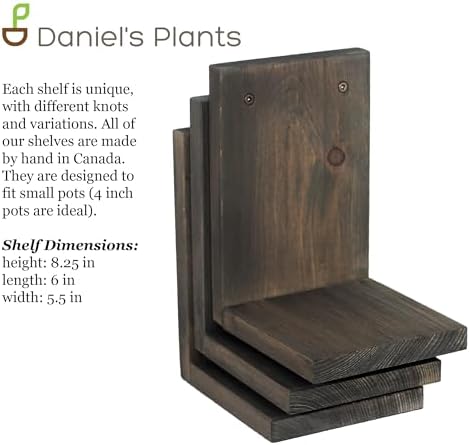 Daniel's Plants 3-Pack Mid-Century Modern L-Shaped Floating Shelves | Solid Wood Plant Ledge | Wall Mounted Shelf Kit (P