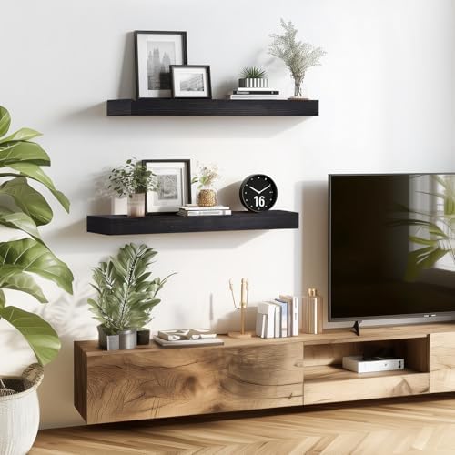 Floating Shelves, 24 Inch Wall Mounted Shelves, Set of 2, Black