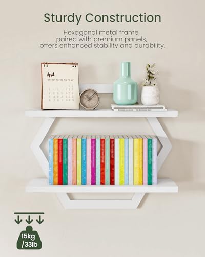 CHOEZON Hexagon Floating Shelves for Wall, Set of 2, 2 -Tier Hanging Shelves, Wall Mounted Storage Shelves, for Living R
