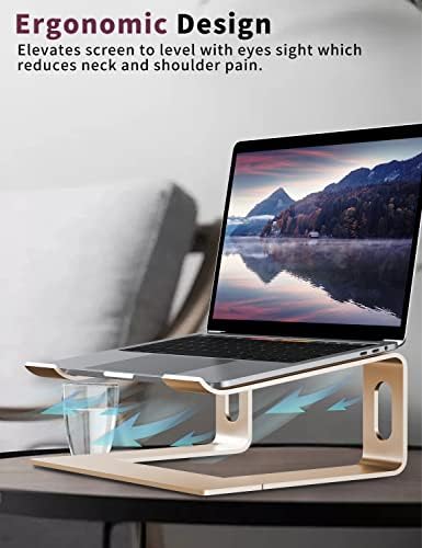 ALASHI Ergonomic Laptop Stand, Aluminum Desk Riser, 10-15.6", Gold
