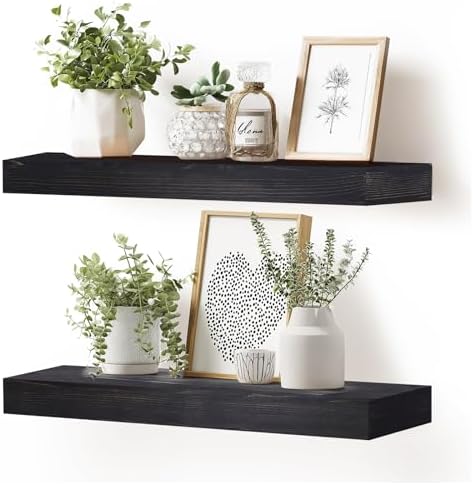 Floating Shelves, 24 Inch Wall Mounted Shelves, Set of 2, Black