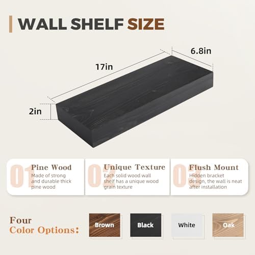 Floating Shelves, 17 Inch Wall Mounted Shelves, Set of 2, Black