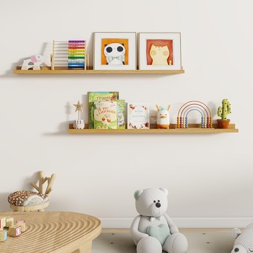 Dreamland Picture Ledge Shelf for Wall, Floating Shelves Set of 2, 48 Inch Long Floating Shelves with Lip for Living Roo