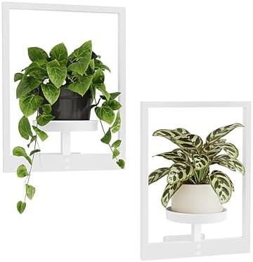 Bamworld Wall Plant Holder Plant Stand Indoor Wall Planters White