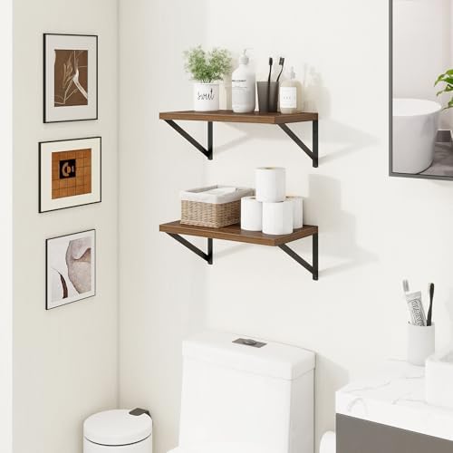 Axeman Deep Floating Shelves, 16'' x 10'' Walnut Wall Shelves Set of 2