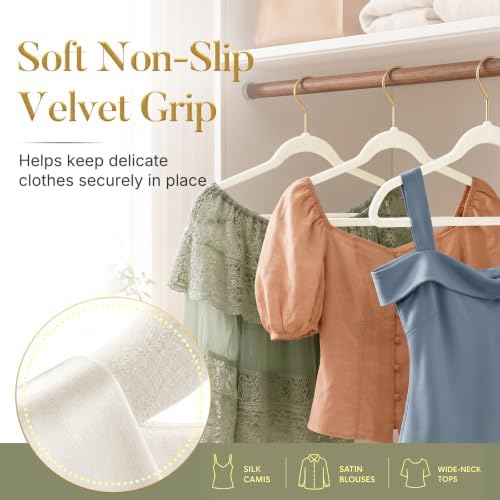 HOUSE DAY Ivory Velvet Hangers 60 Pack with Gold Hooks, Non-Slip, No Marks