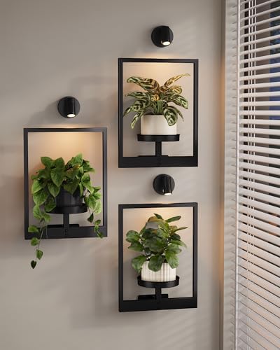 Bamworld Hanging Planters for Indoor Plants Wall Decor Living Room Light