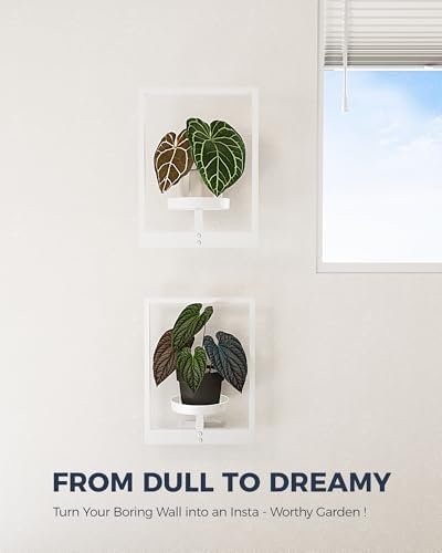 Bamworld Wall Plant Holder Plant Stand Indoor Wall Planters White