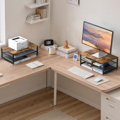 ECOLOVI 2-Tier Computer Monitor Stand Riser, Printer & Laptop Stand, Office Desk Accessories, Workspace Desk Organizer f