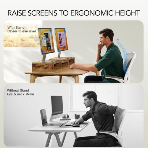 AMERIERGO Dual Monitor Stand Riser- 3 Shelf Screen Stand with Adjustable Length and Angle, 2 Extra Functional Slot Deskt