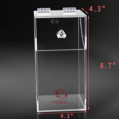 Clear Cosmetic Brush Organizer,Acrylic Brush Holder with Lid,Dust-proof Makeup Brush Holder with Free Rosy Pearls for Va