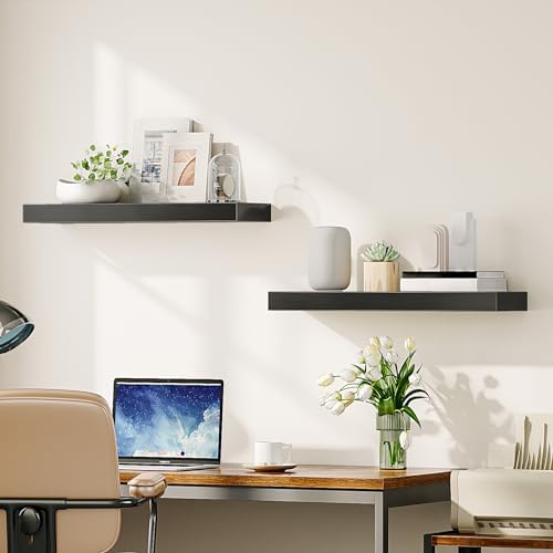 HOOBRO Floating Shelves for Wall, Wall Mounted Shelf Set of 2, 23.6" Hanging Shelf with Invisible Brackets, for Wall Dec