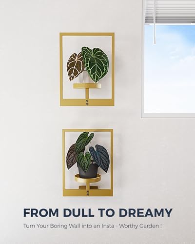 Bamworld Wall Plant Holder Plant Stand Indoor Wall Planters Gold