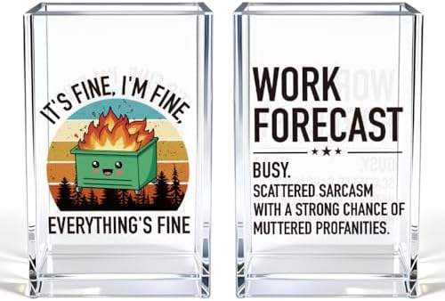 Everything's Fine Work Forecast Funny Acrylic Pencil Pen Holder Cup Set 2, Cute Pencil Holder Desk Organizer, Dumpster Fire Desk Accessories, Sarcastic Office Gifts for Women Men Coworkers