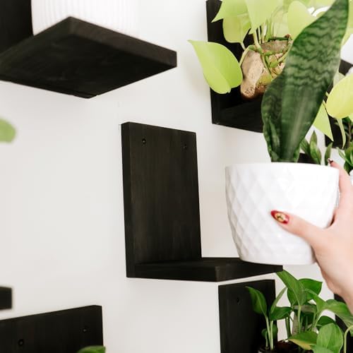 Daniel's Plants 3 Pack Mid-Century Modern L Shaped Wooden Plant Shelf Kit | Wall Mounted Floating Shelves | Solid Wood W