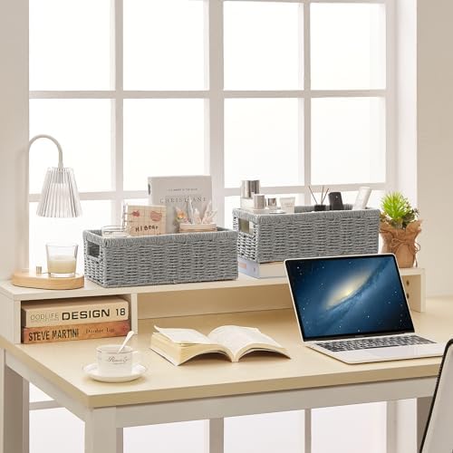 Vagusicc Wicker Storage Basket, Paper Rope Wicker Baskets with Handles, Toilet Paper Basket for Toilet Tank Top, Small Wicke Baskets for Organizing Shelves, 2-Pack, Grey