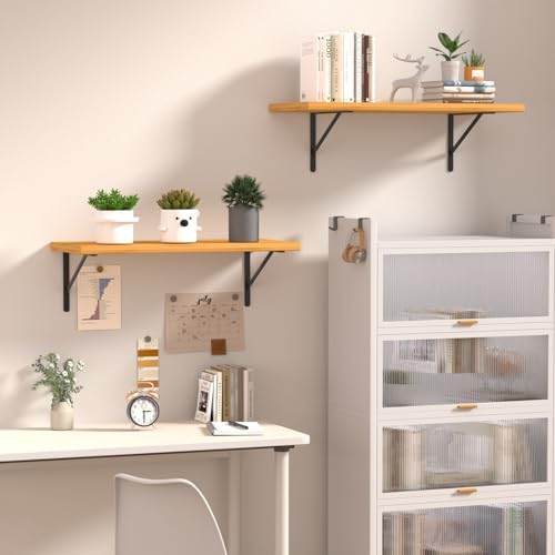 32 Pack L14 x H 10" Black Heavy Duty Shelf Brackets with Screws Metal Shelf Brackets Shelf Support Angle Brackets for Sh