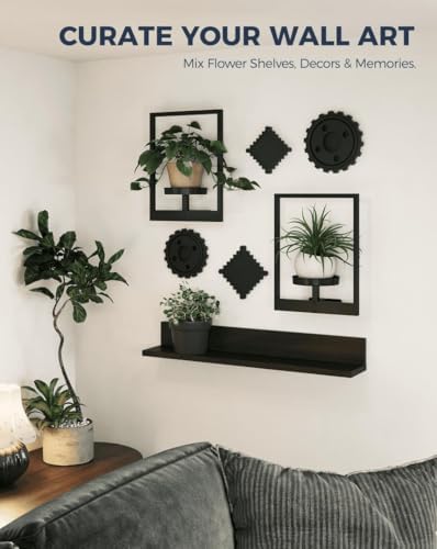 Bamworld Wall Plant Holder Plant Stand Indoor Wall Planters Black