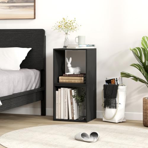GIANTEX 2 Cube Bookshelf, 2-Tier Stackable Cube Storage Organizer (1,Black)